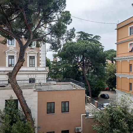 Nauta - Comfort E Design Rome